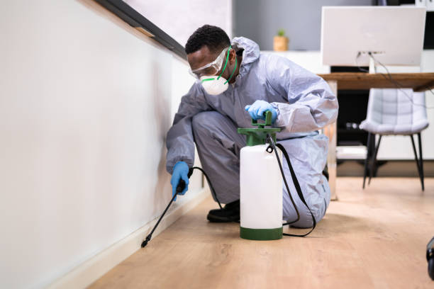 Best Real Estate Pest Inspections  in Laurel Lake, NJ